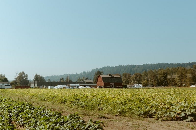 Leading Sumner farm in WA near 98391