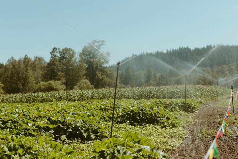 Outstanding Sumner local farm in WA near 98391