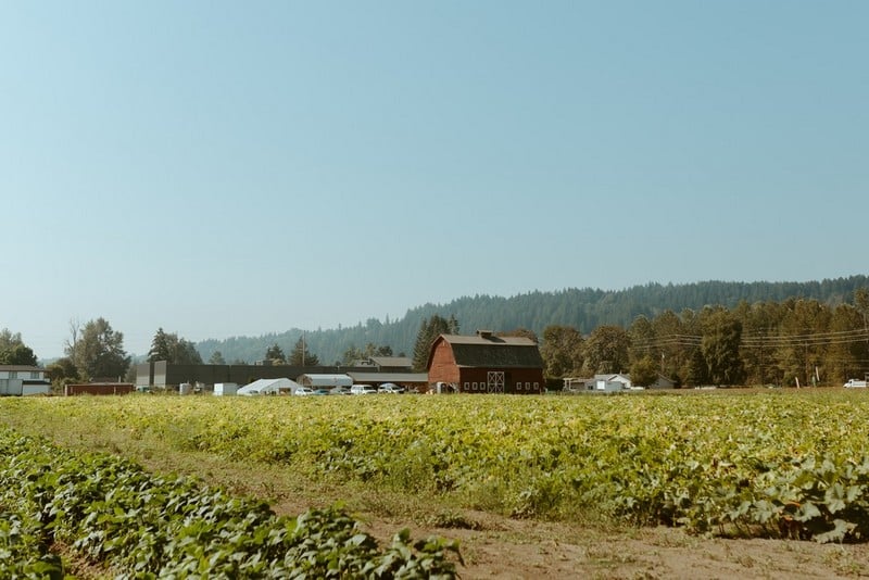 Outstanding Tacoma local farm in WA near 98404