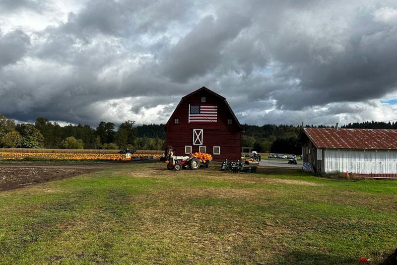 Best Puyallup pumpkin patch in WA near 98374