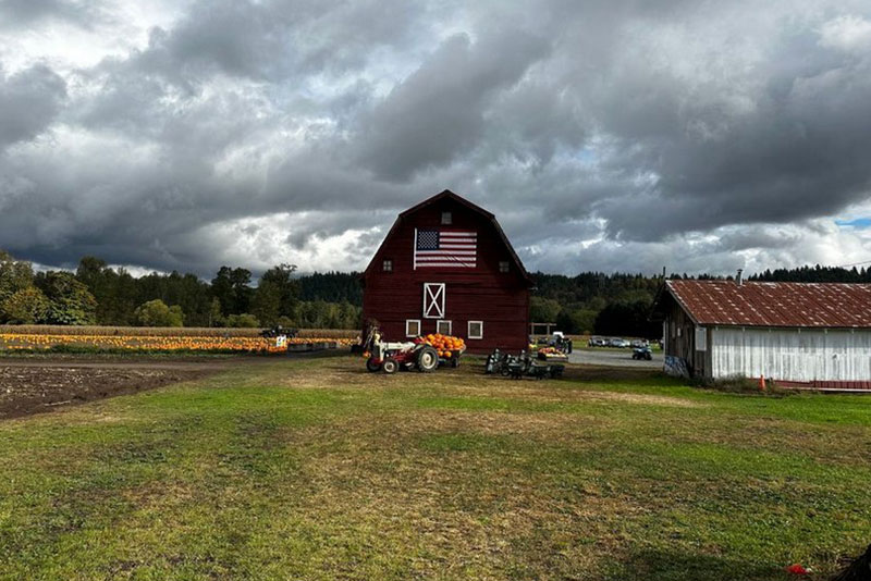 Best Puyallup pumpkin patch in WA near 98374