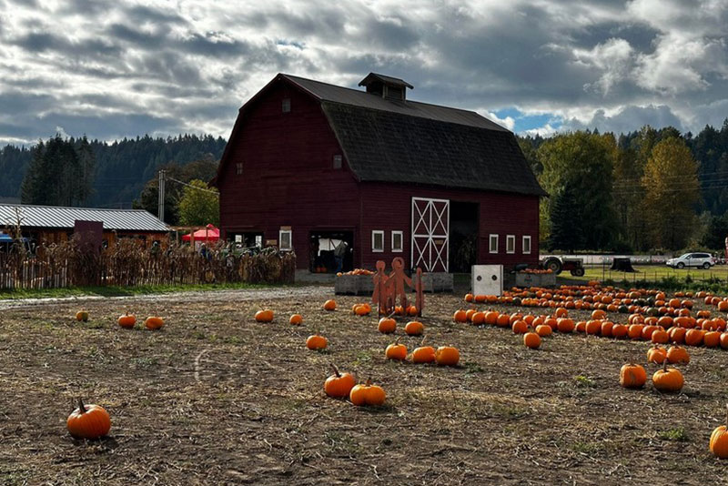 Best Sumner pumpkin patch in WA near 98391