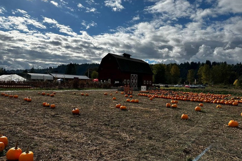 Best Tacoma pumpkin patch in WA near 98404