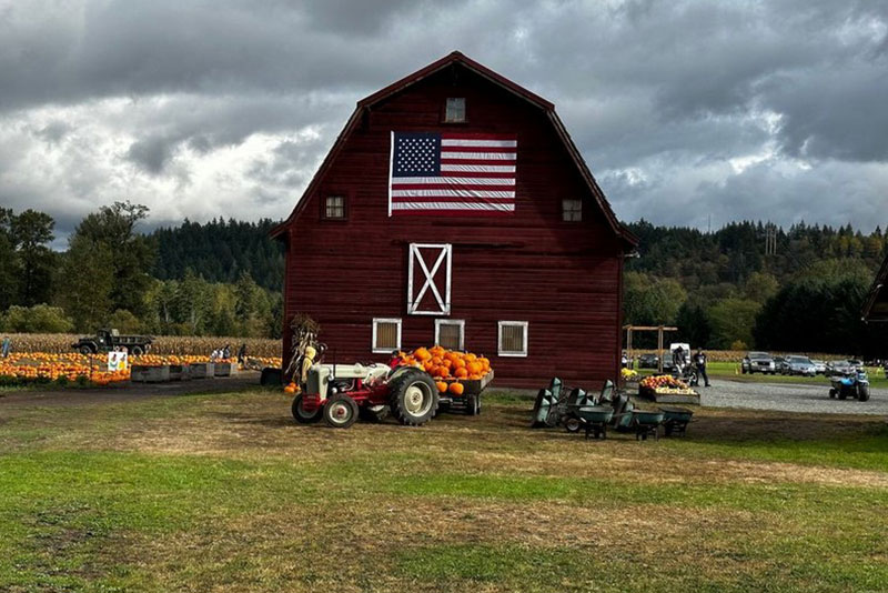 Spanaway Pumpkin Patches Premium Spanaway pumpkin patches in WA near 98387