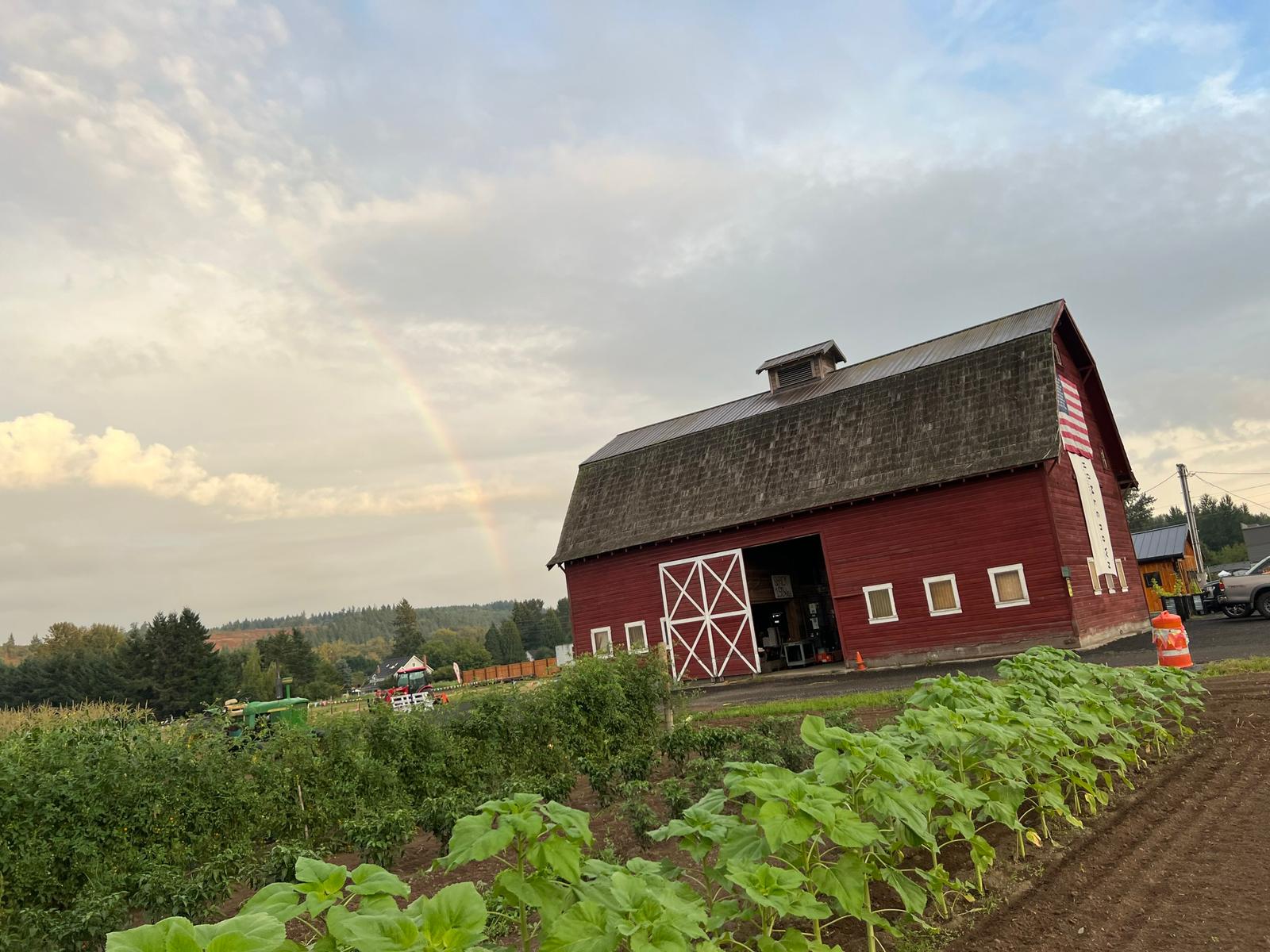 Barn with rainbow
